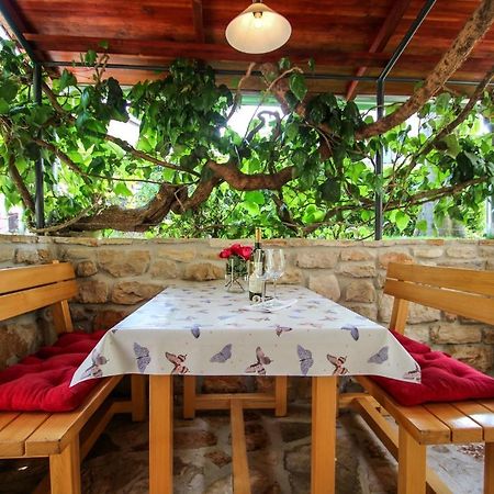 Carla Guest House Novigrad Istria Eksteriør billede
