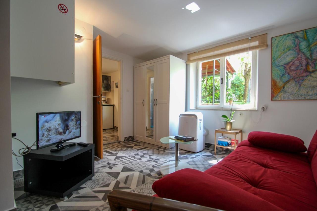 Carla Guest House Novigrad Istria Eksteriør billede